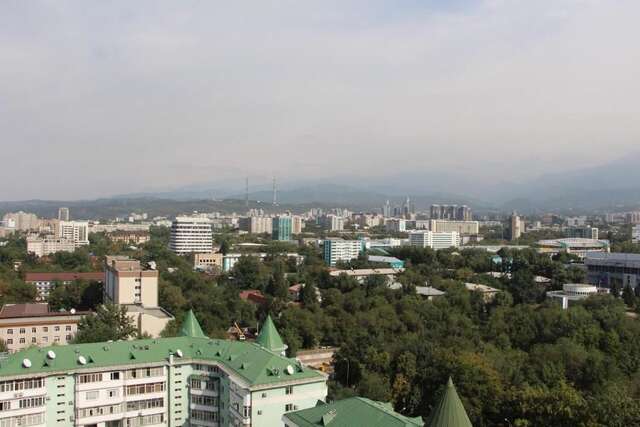 Апартаменты Big apartment 